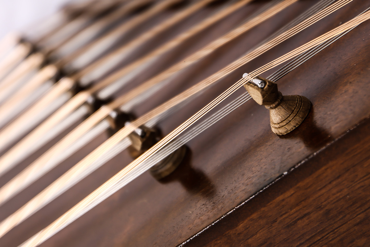 arezoo_davoud_shirazi_10