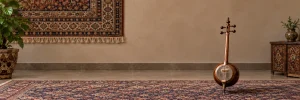 خرید ساز کمانچه - سازیکال